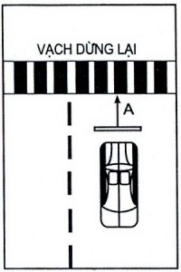 dừng xe nhường đường cho người đi bộ
